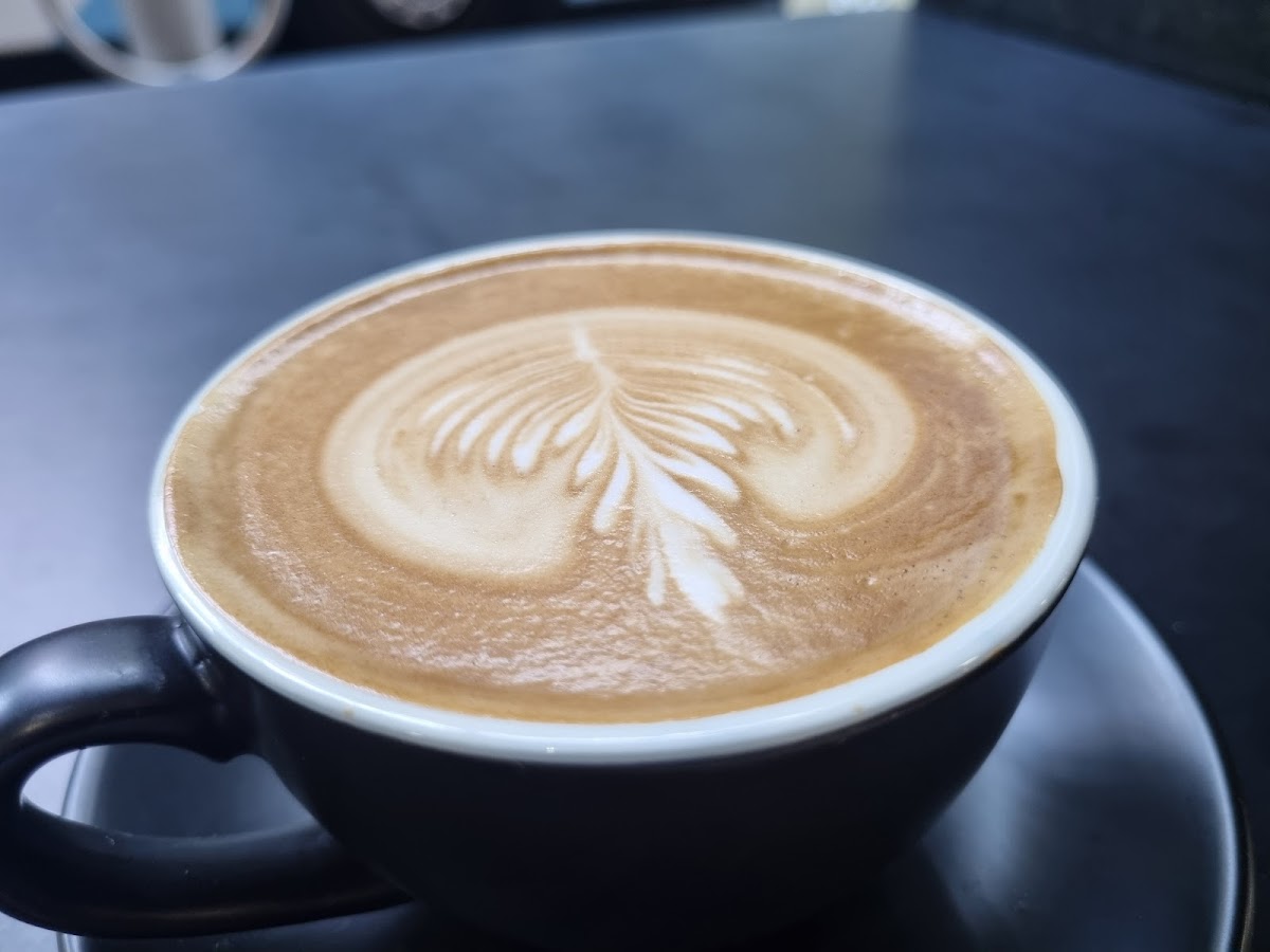 Encanto Sydney Photos 2